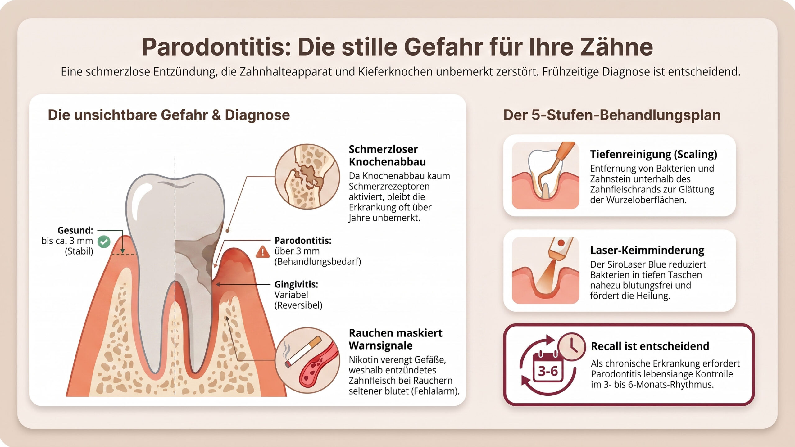 Infografik auf Deutsch zum Thema Parodontitis. Zeigt einen gesunden Zahn im Vergleich zu einem entzündeten Zahn, hebt Risiken hervor und stellt einen 5-stufigen Behandlungsplan vor, wobei Symbole und Text die einzelnen Phasen sowie die Bedeutung einer frühzeitigen Diagnose erläutern.